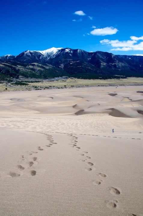 Taken at Great Sand Dunes National Park, CO.  Photo by Ania Owczarczyk.