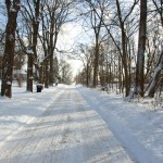 A2: The beautiful side of Winter. <i>Photo by Ania Beata Owczarczyk.</i>